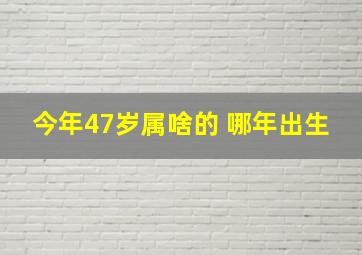 今年47岁属啥的 哪年出生